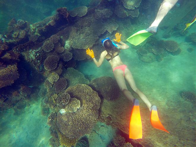 Moreton Bay 2-Day Kayak & Water Sports Tour (Gold Coast Departure) Including 1 Night's Accommodation