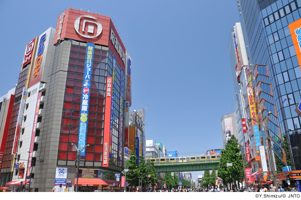 JR Tohoku-South Hokkaido Rail Pass [6-Day Pass] Paper Voucher