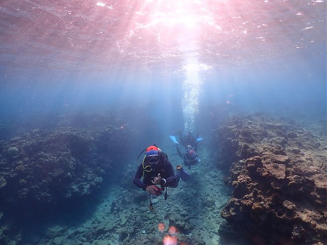 Penghu Diving Experience: Undersea Mailbox Photos & Postcards | No Diving License Required
