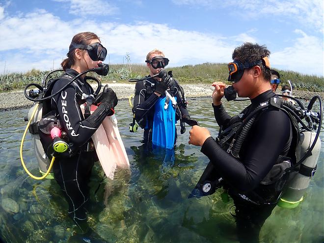 Penghu Diving Experience: Undersea Mailbox Photos & Postcards | No Diving License Required