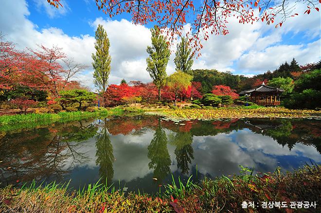 Gyeongju Ancient City Historical Day Tour with a Chinese Guide and Seoul Departure