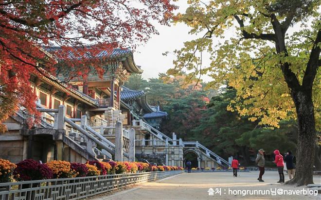 Gyeongju Ancient City Historical Day Tour with a Chinese Guide and Seoul Departure