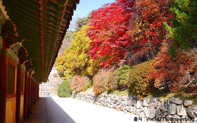 Gyeongju Ancient City Historical Day Tour with a Chinese Guide and Seoul Departure