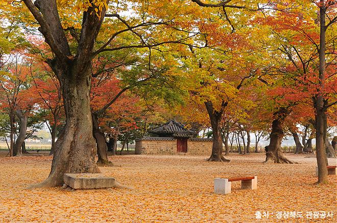 Gyeongju Ancient City Historical Day Tour with a Chinese Guide and Seoul Departure