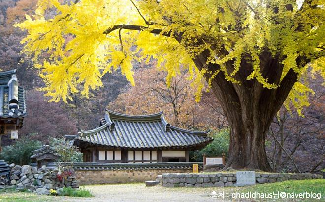 Gyeongju Ancient City Historical Day Tour with a Chinese Guide and Seoul Departure