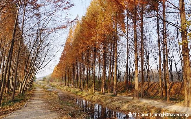 Gyeongju Ancient City Historical Day Tour with a Chinese Guide and Seoul Departure