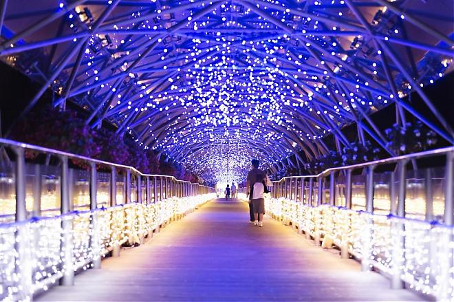 [Departing from Tottori Sakaiminato] Tottori Sakaiminato Day Tour (Suitable for cruise ship landing tours, 7-9 hours)