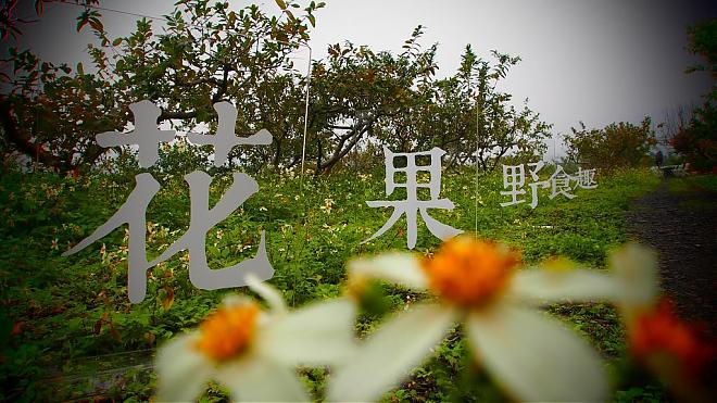 Yilan Origin Table Project - Wild Food Fun with Fruits and Flowers | A No-Menu Feast Hidden in the Wilderness