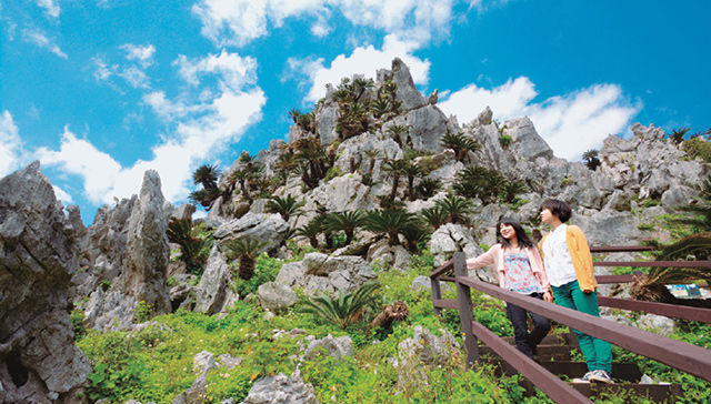 Okinawa Natural Landscape Day Tour | Cape Hedo, Mount Daisekirin, and the Aquarium