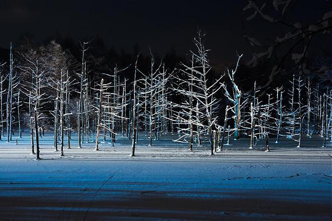 Hokkaido Blue Pond Shirahige Falls Illumination + Asahiyama Zoo Day Tour (Guaranteed Group Tour from Sapporo)