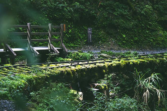 Yilan Taiping Mountain Jianqing Historic Trail and Cuifeng Lake Day Tour | An In-Depth Pilgrimage to the World's Most Beautiful Trail