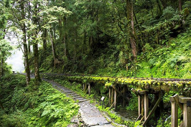 Yilan Taiping Mountain Jianqing Historic Trail and Cuifeng Lake Day Tour | An In-Depth Pilgrimage to the World's Most Beautiful Trail
