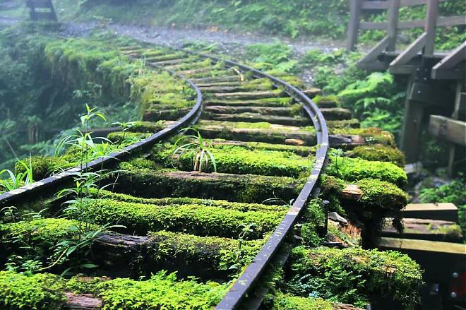 Yilan Taiping Mountain Jianqing Historic Trail and Cuifeng Lake Day Tour | An In-Depth Pilgrimage to the World's Most Beautiful Trail