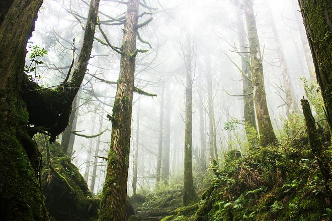 Yilan Taiping Mountain Jianqing Historic Trail and Cuifeng Lake Day Tour | An In-Depth Pilgrimage to the World's Most Beautiful Trail