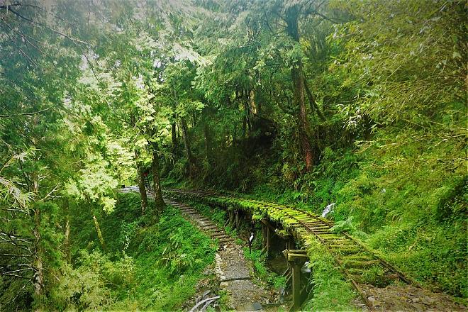 Yilan Taiping Mountain Jianqing Historic Trail and Cuifeng Lake Day Tour | An In-Depth Pilgrimage to the World's Most Beautiful Trail