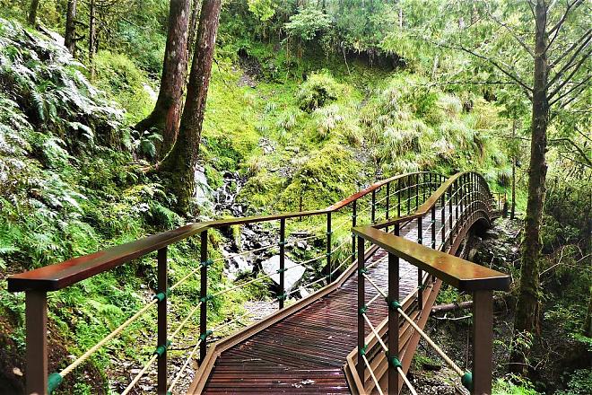 Yilan Taiping Mountain Jianqing Historic Trail and Cuifeng Lake Day Tour | An In-Depth Pilgrimage to the World's Most Beautiful Trail