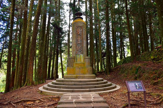 Alishan Train and Zhushan Line Sunrise 2-Day Tour | Staying in Alishan Park