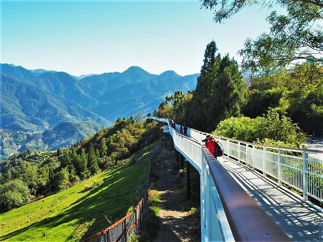 Alishan, Sun Moon Lake, and Cingjing Farm 3-Day Tour | Stay in Alishan and Cingjing