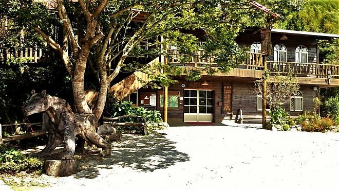 Hsinchu Simakus & Zhenxibao Sacred Trees | Two-Day, One-Night Hiking Tour