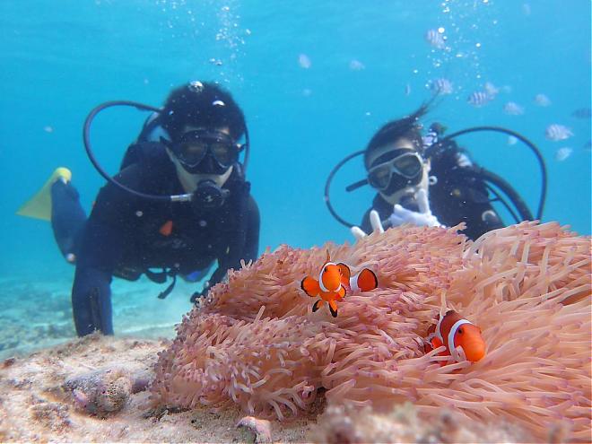 Okinawa Onna Blue Cave Blue Cave Diving / Beginner Diving Experience (Ages 12+ / Travel by Yourself)