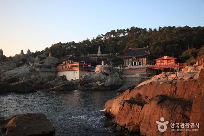 Busan Flight & Hotel Package | 5 Days, 4 Nights at the Stanford Hotel in the City (Departing from Taipei | Air Busan)