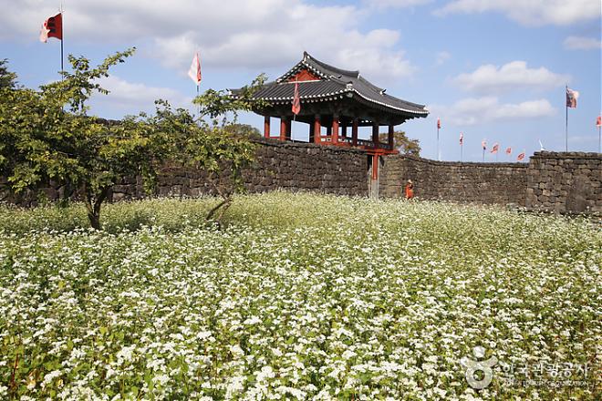 Jeju Flight & Hotel Tour | 4 Days, 3 Nights City Hotel (Departing Taipei | Eastar Jet)