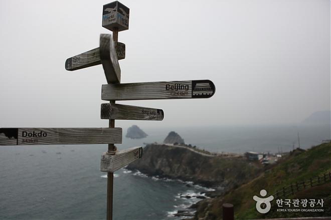 Busan Flight & Hotel Package | 4 Days, 3 Nights at the Stanford Hotel in the City (Departing from Taipei | Jeju Air)