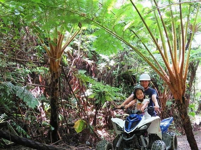 Nago, Northern Okinawa | Mountain Bike Ride