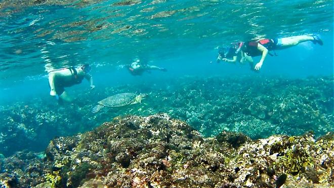 Xiaoliuqiu Kayak Experience: Discovering the Secret Territory of Sea Turtles [Includes Snorkeling]