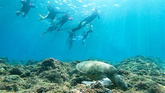 Enjoy the sea with a transparent canoe, SUP, snorkeling, and a semi-submarine in Xiaoliuqiu.