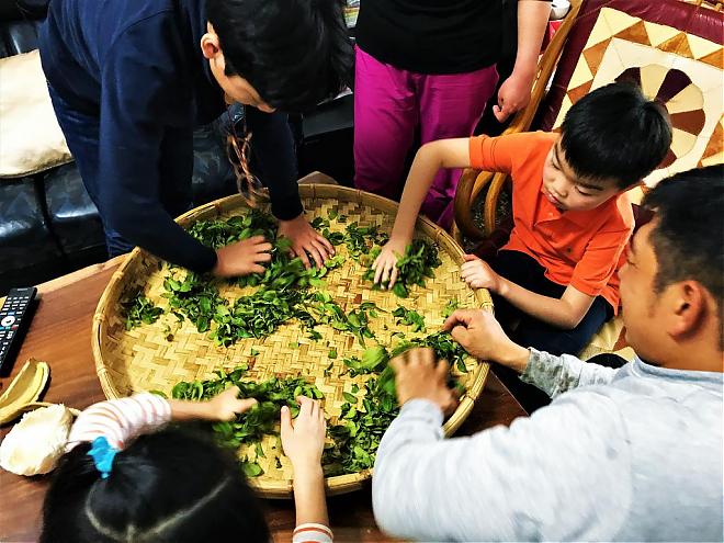 A Half-Day Tea Trip to Luye, Taitung | Friendly Tea Garden and Good Tea Cuisine