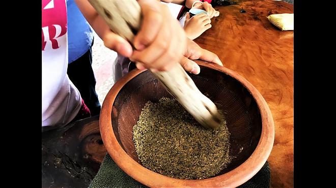 A Half-Day Tea Trip to Luye, Taitung | Friendly Tea Garden and Good Tea Cuisine