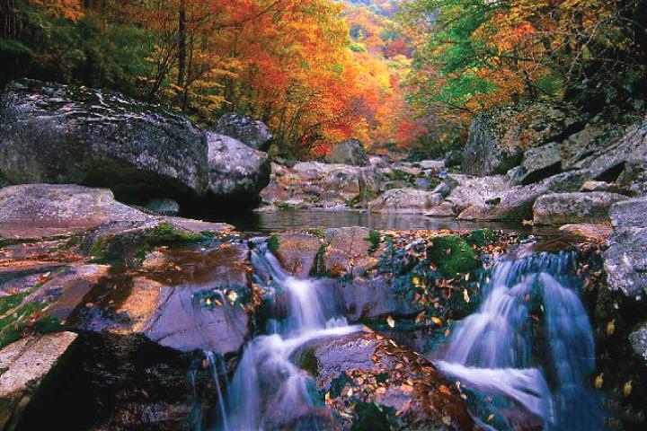 A Day Trip to Enjoy the Fall Foliage in Jeolla Province's Nazang Mountains | South Korea's No. 1 Maple Leaf Mountain