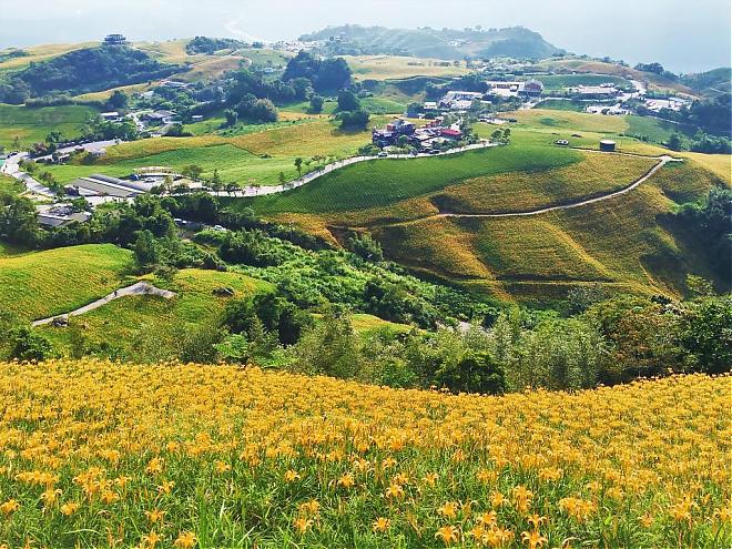 Hualien Sixty Stone Mountain Daylily Flowers and Chihshang Rice Country 2-Day Tour | August Only, Departing from Northern Taiwan