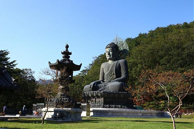 [Korea Fall Foliage Viewing] Seoraksan Day Trip (Cable Car/Hotel Pickup)