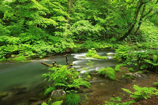 Departing from Aomori | A Day Tour of Aomori in Northeast China | Nebuta Village, Oirase, Lake Towada, and Hirosaki Park