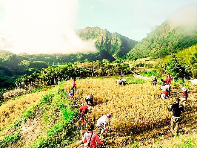 A Half-Day Food Tour of the Jilamidao Tribe in Hualien | Centennial Canal and Sky Terraces