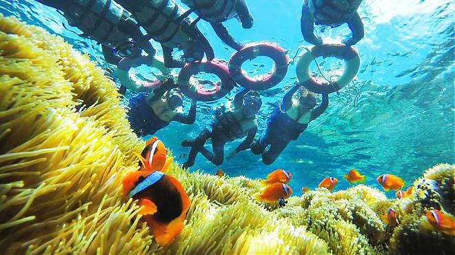 Snorkeling Experience on Orchid Island | Kuroshio Ecosystem Revealed! Stunning Blue Waters