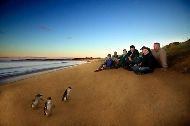 One-Day Tour to Phillip Island Penguin, Australia | Chinese-Speaking Driver and Guide