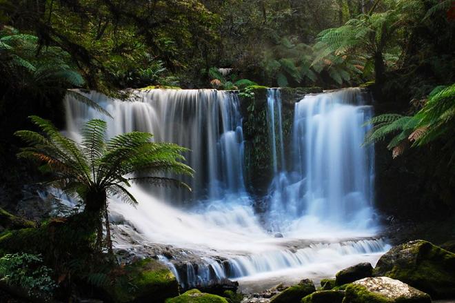 A day trip to Mount Field National Park in Australia