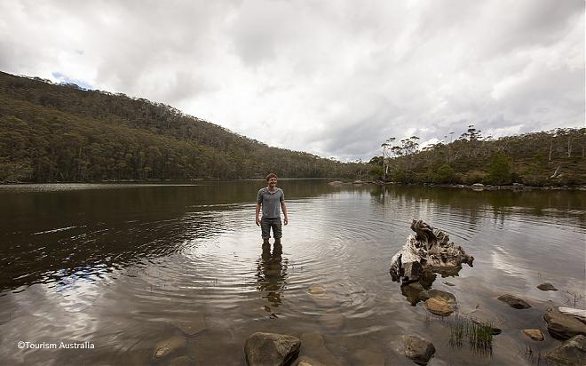 A day trip to Mount Field National Park in Australia