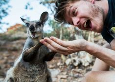 Cairns Night Tour | Hummer, Fireflies, and Kangaroos