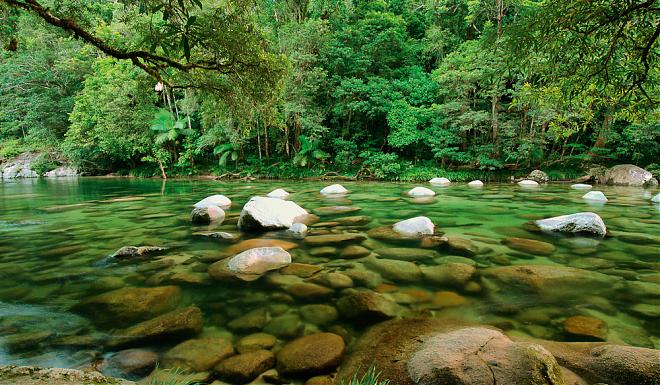 Cairns to Port Douglas, Mossman Gorge Day Tour | Lunch Included