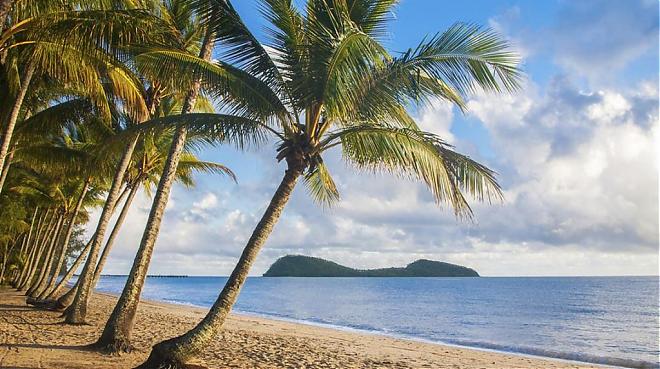 Cairns to Port Douglas, Mossman Gorge Day Tour | Lunch Included