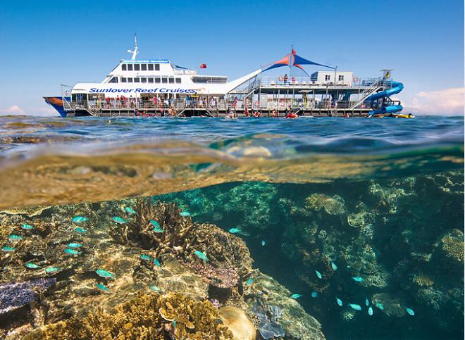Cairns Great Barrier Reef Day Tour | Sunlover