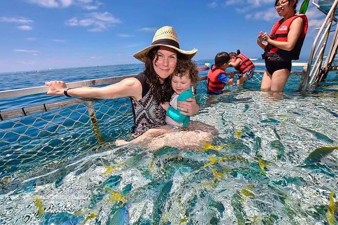 Cairns Great Barrier Reef Day Tour | Sunlover
