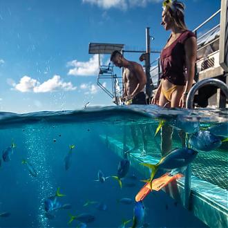 Cairns Great Barrier Reef Day Tour | Sunlover