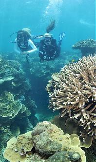 Cairns Great Barrier Reef Day Tour | Sunlover