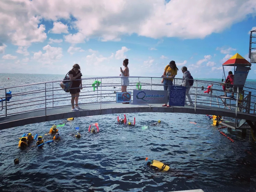 Cairns Great Barrier Reef Luxury Day Cruise (Includes Seafood Buffet)