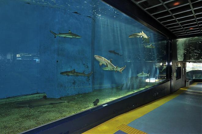 Hakone-en Aquarium admission ticket (electronic ticket)